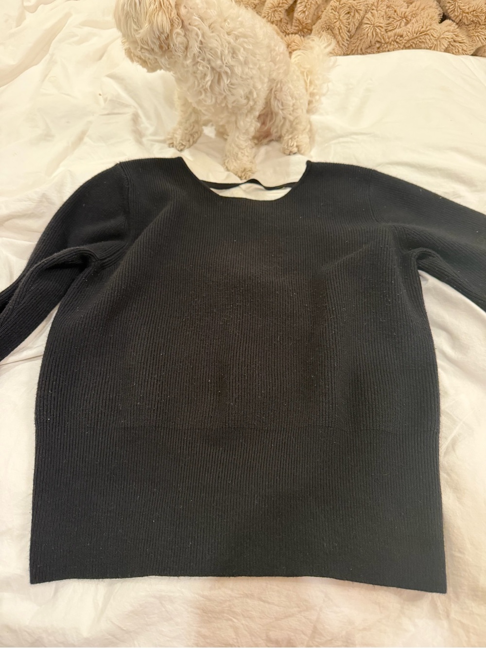 French Connection Classic Black Women's Knit Sweater